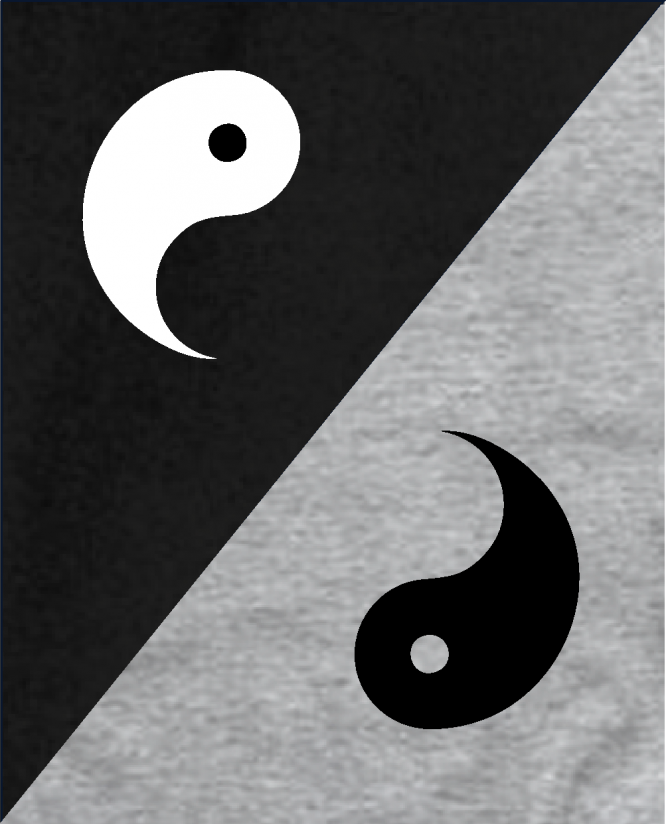 Jing Jang